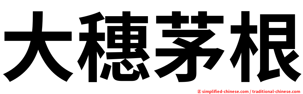 大穗茅根