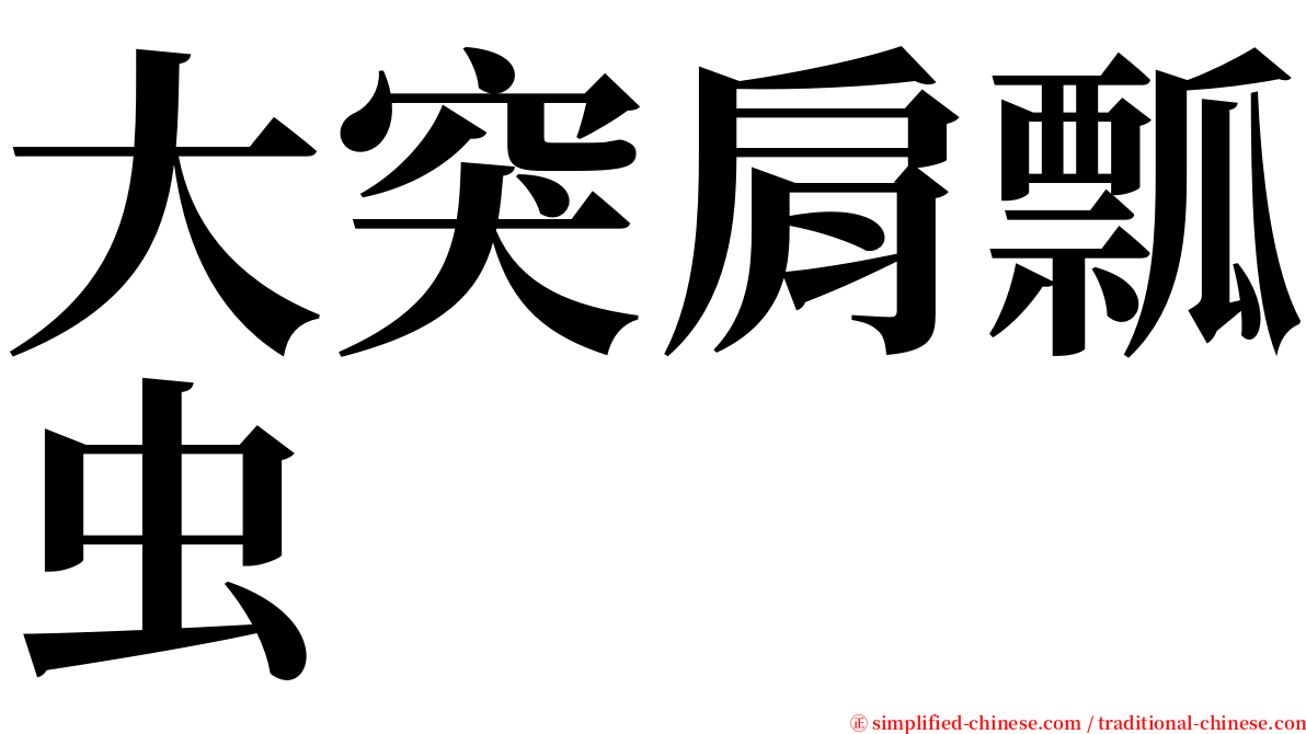大突肩瓢虫 serif font