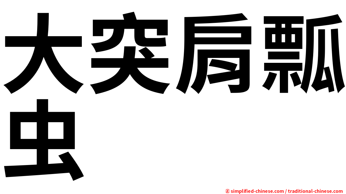 大突肩瓢虫