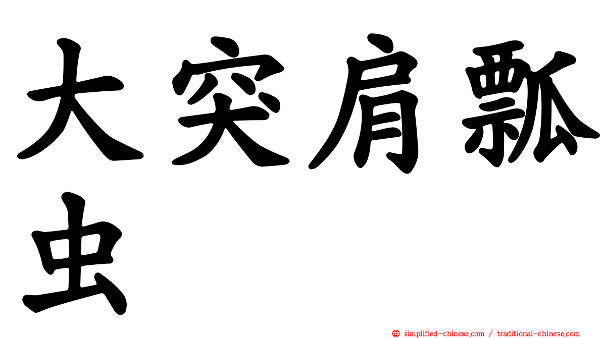 大突肩瓢虫