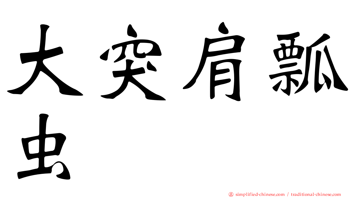 大突肩瓢虫