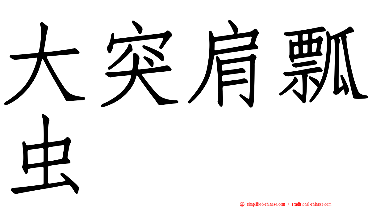 大突肩瓢虫