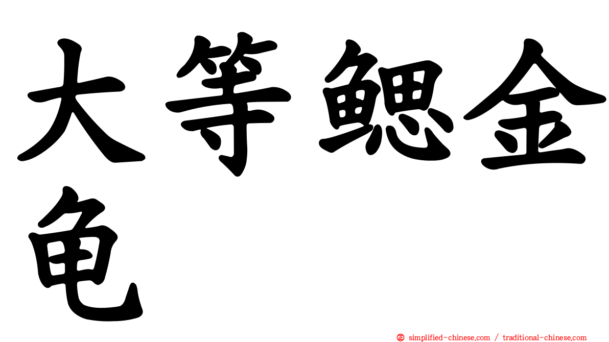 大等鳃金龟