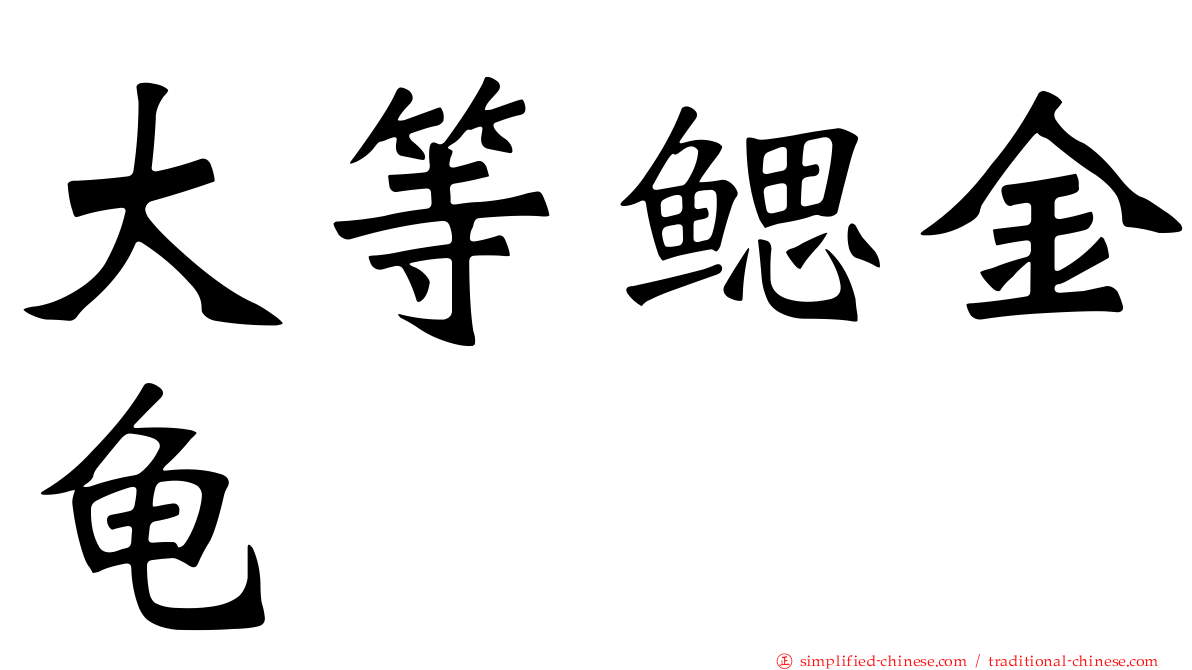 大等鳃金龟