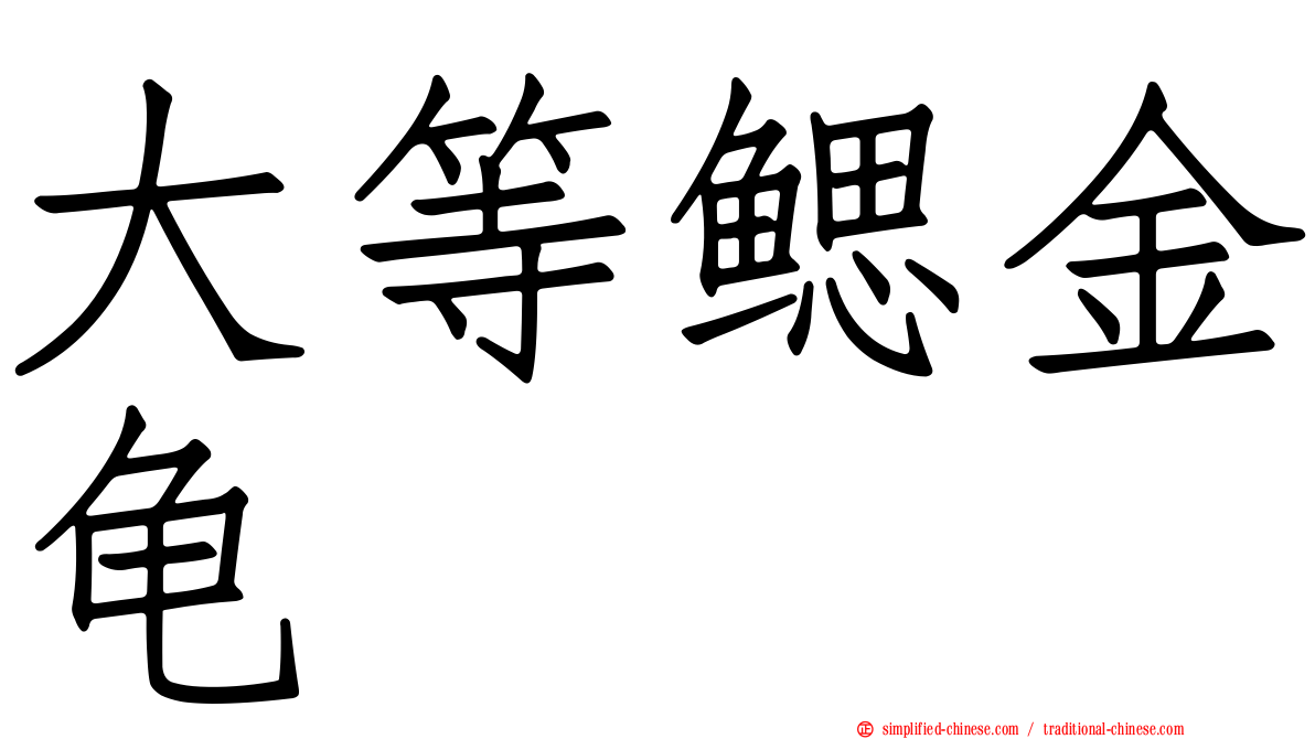 大等鳃金龟