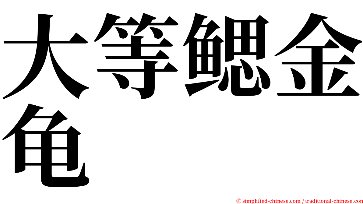 大等鳃金龟 serif font