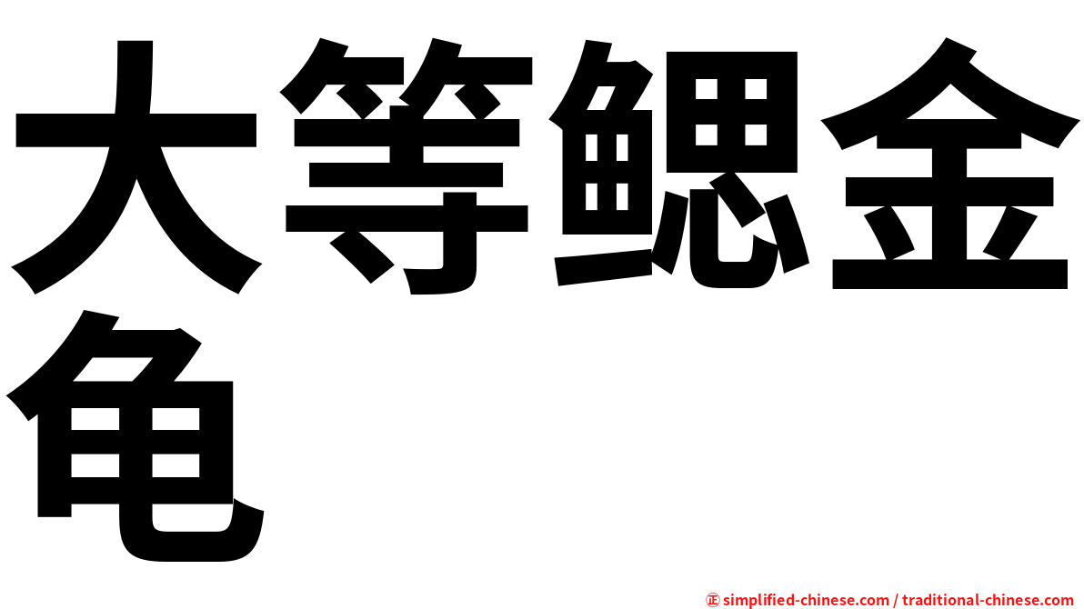 大等鳃金龟