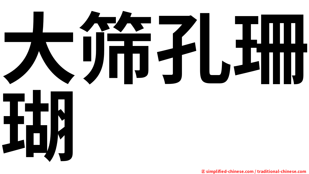 大筛孔珊瑚