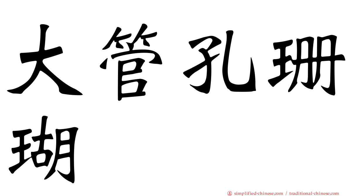 大管孔珊瑚