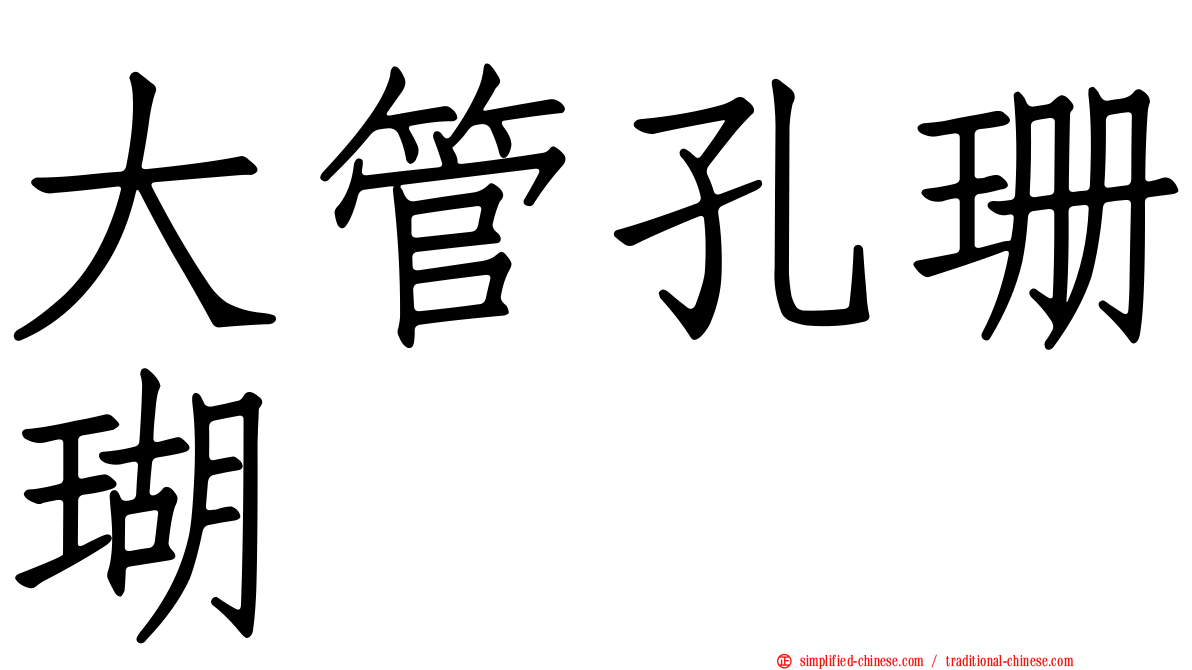 大管孔珊瑚
