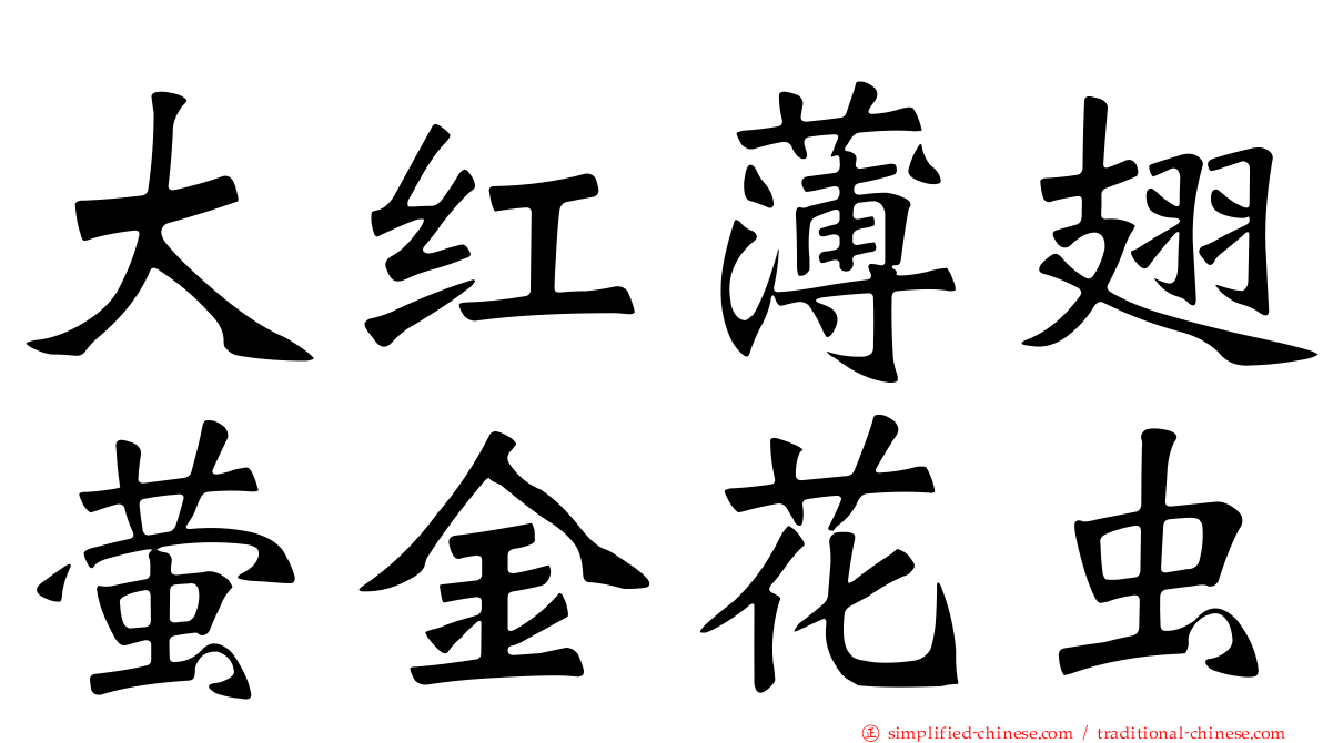 大红薄翅萤金花虫