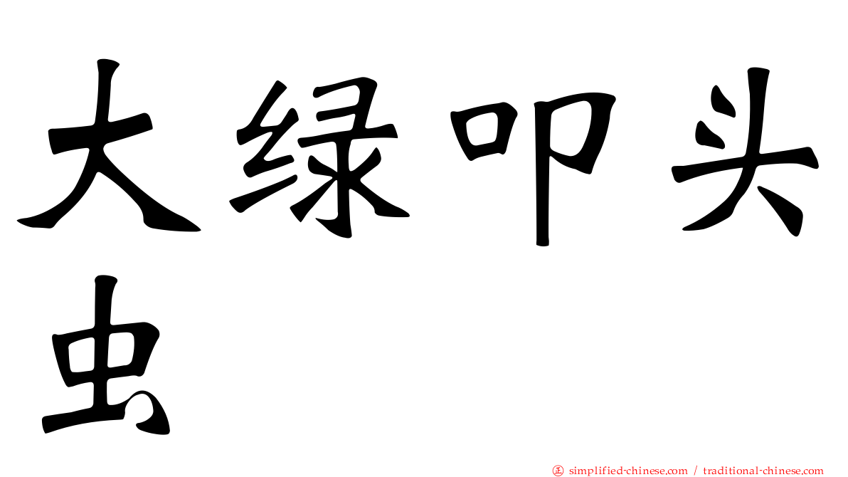 大绿叩头虫