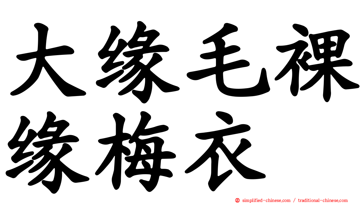 大缘毛裸缘梅衣