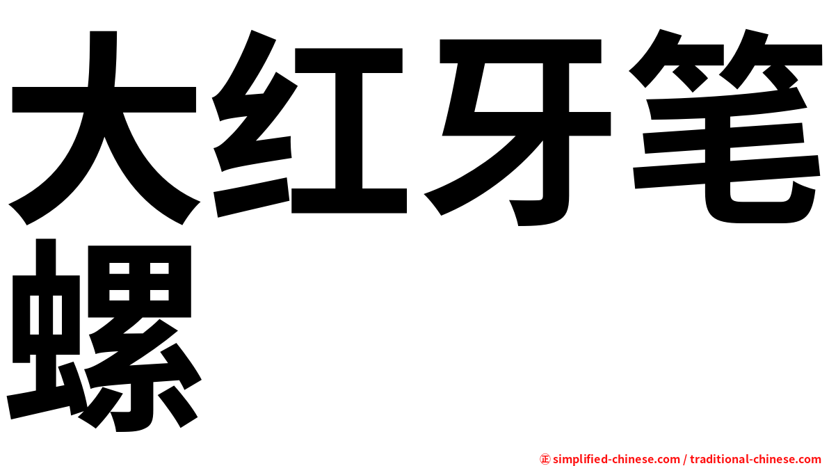 大红牙笔螺