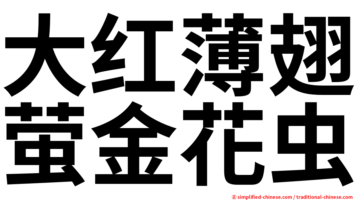 大红薄翅萤金花虫