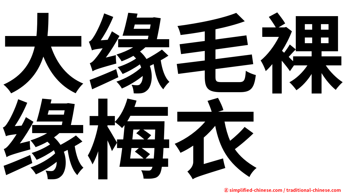 大缘毛裸缘梅衣
