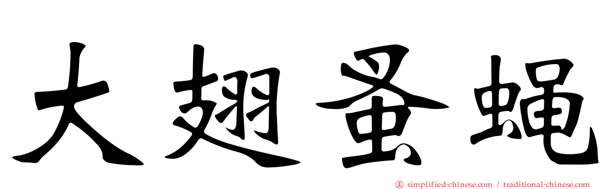 大翅蚤蝇