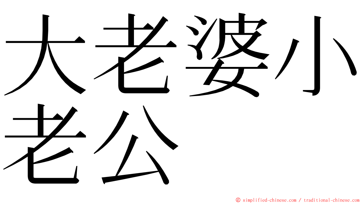 大老婆小老公 ming font