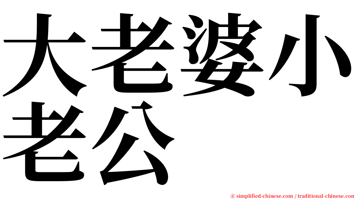 大老婆小老公 serif font