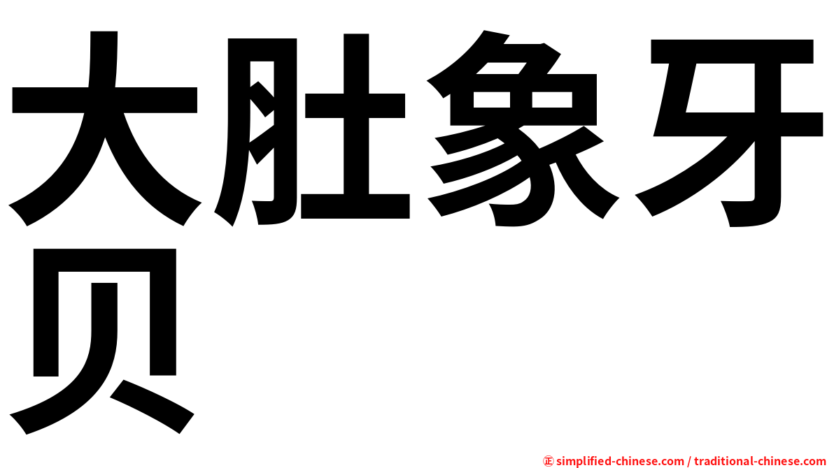 大肚象牙贝