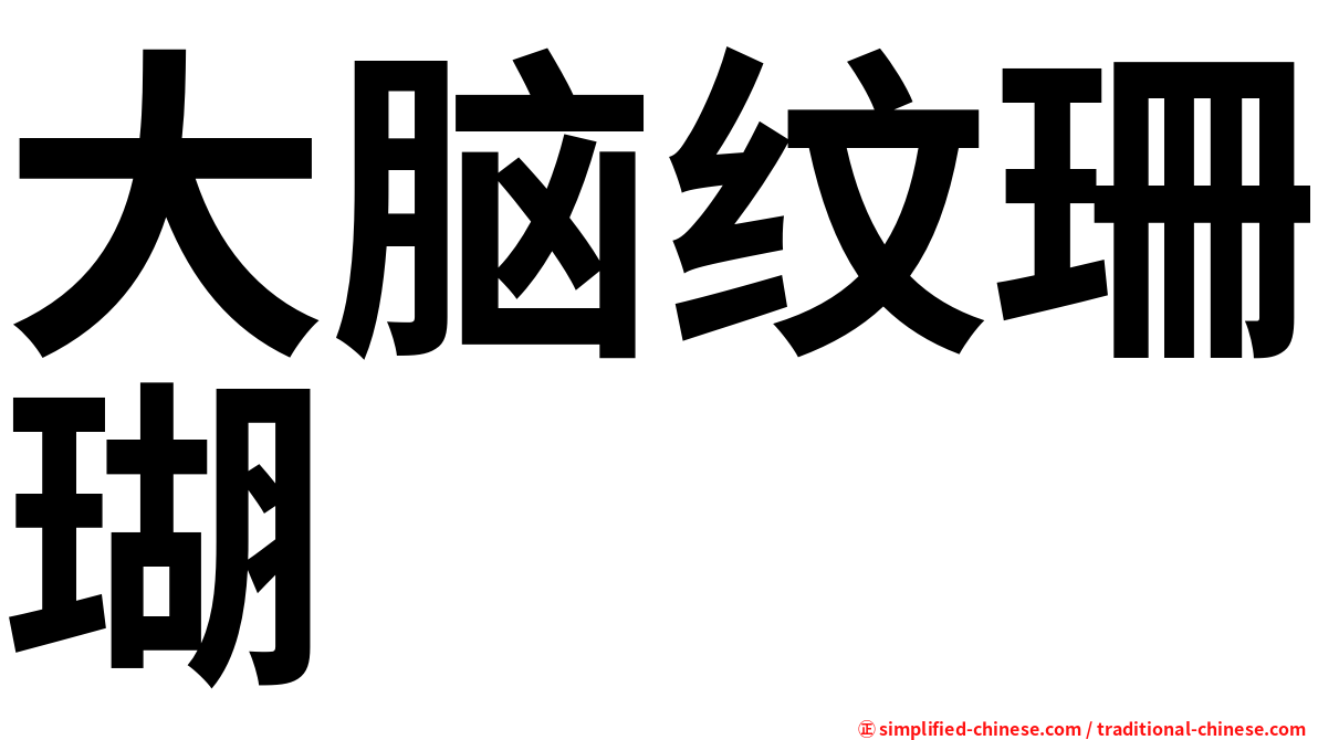 大脑纹珊瑚