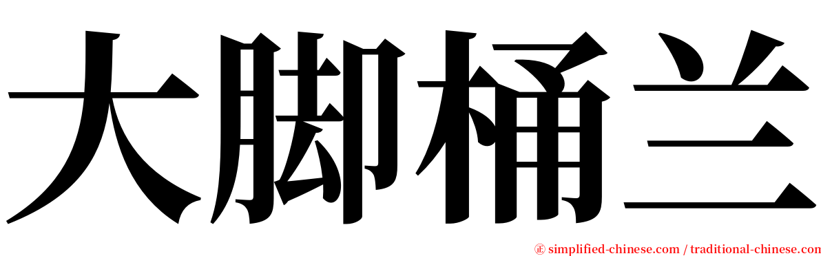 大脚桶兰 serif font