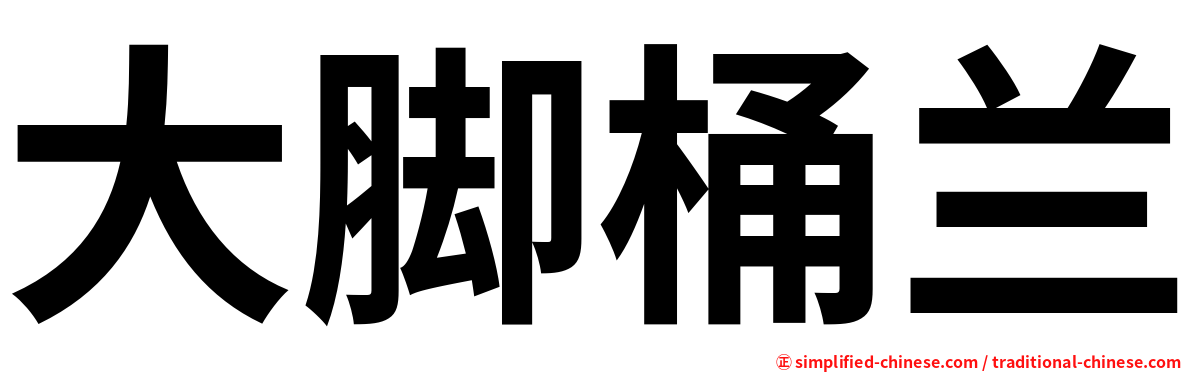 大脚桶兰
