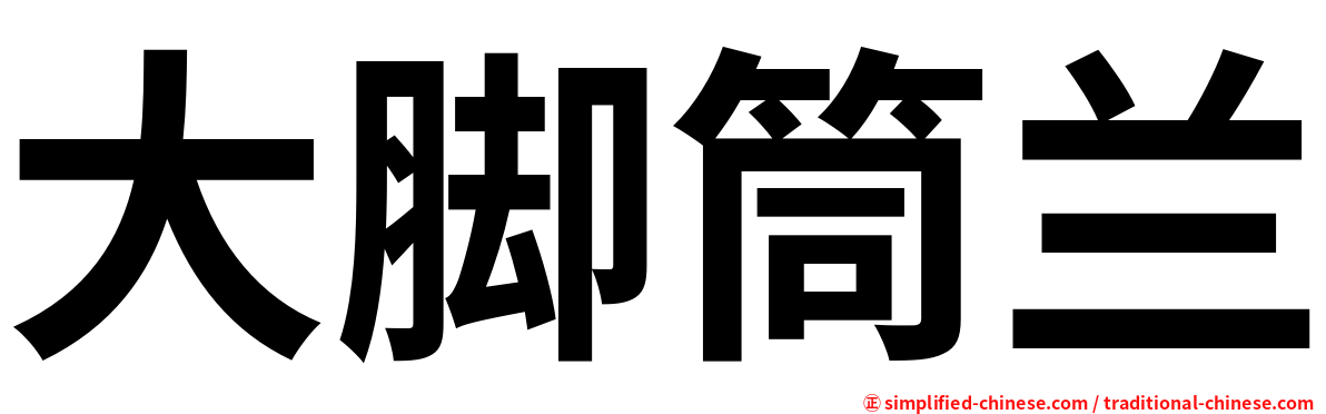 大脚筒兰