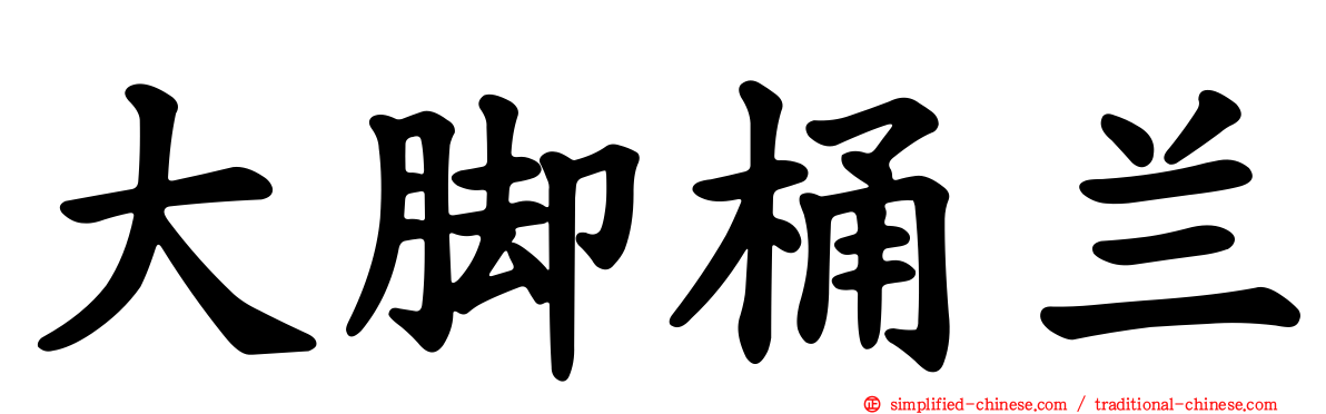 大脚桶兰