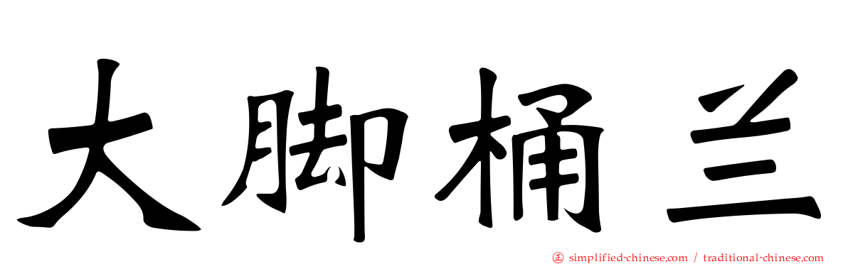 大脚桶兰