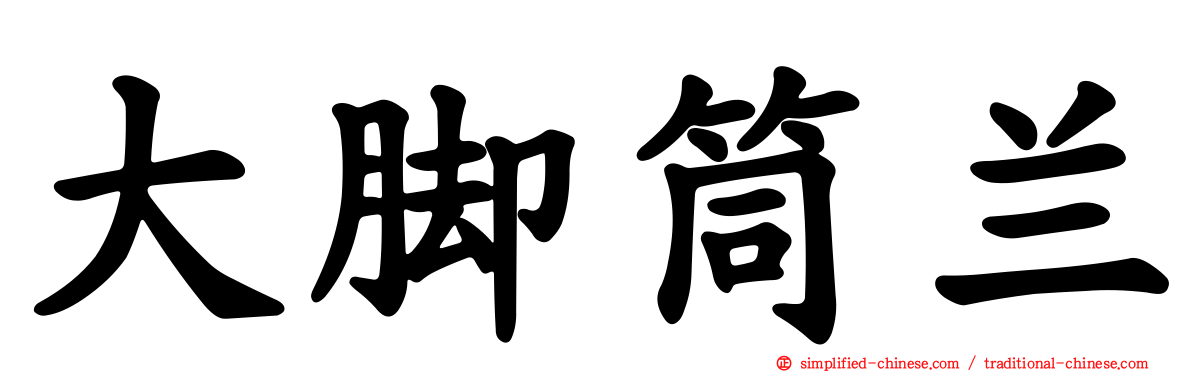 大脚筒兰