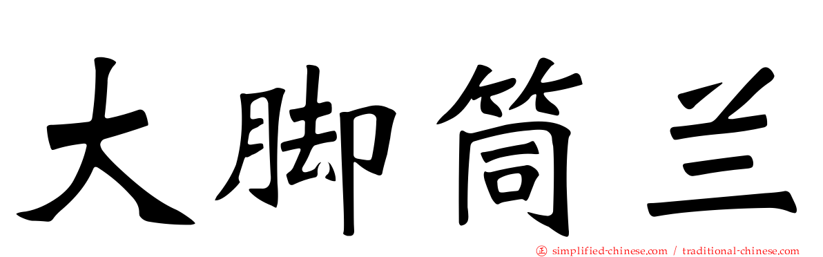 大脚筒兰