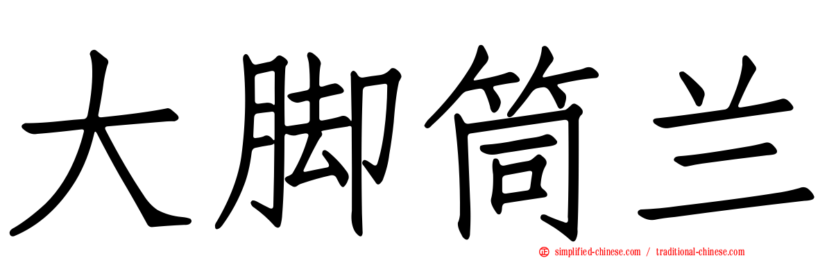 大脚筒兰
