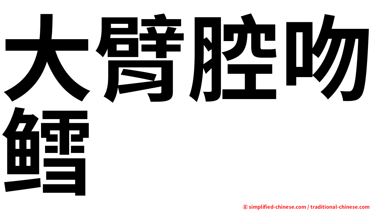 大臂腔吻鳕