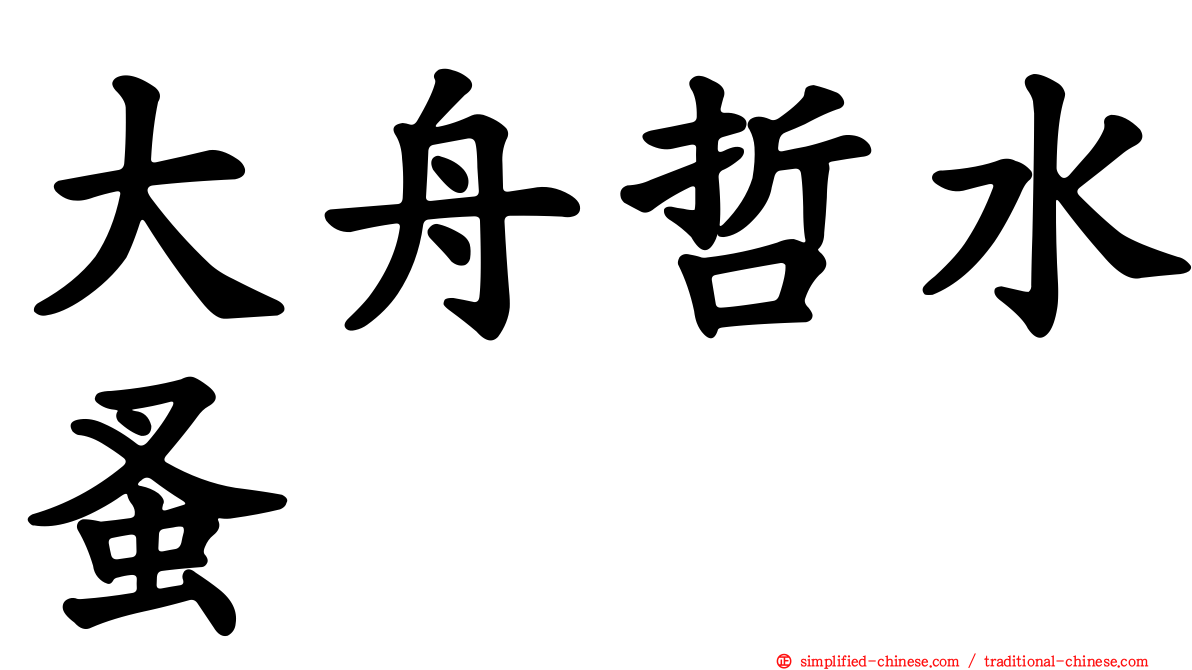 大舟哲水蚤