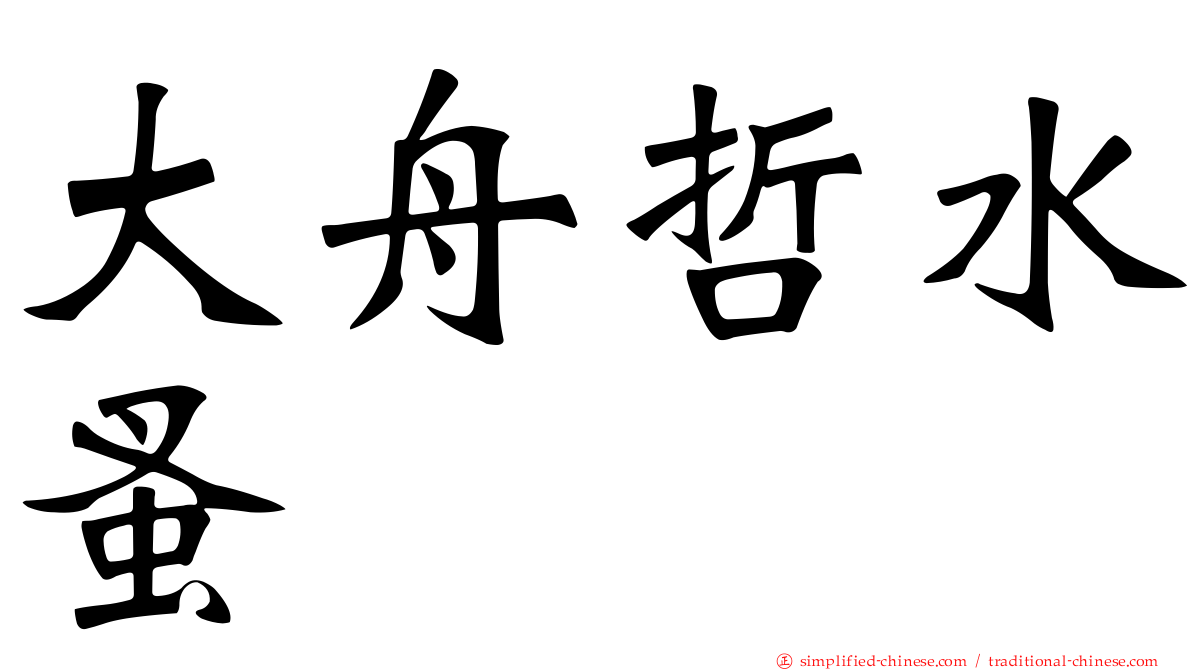 大舟哲水蚤