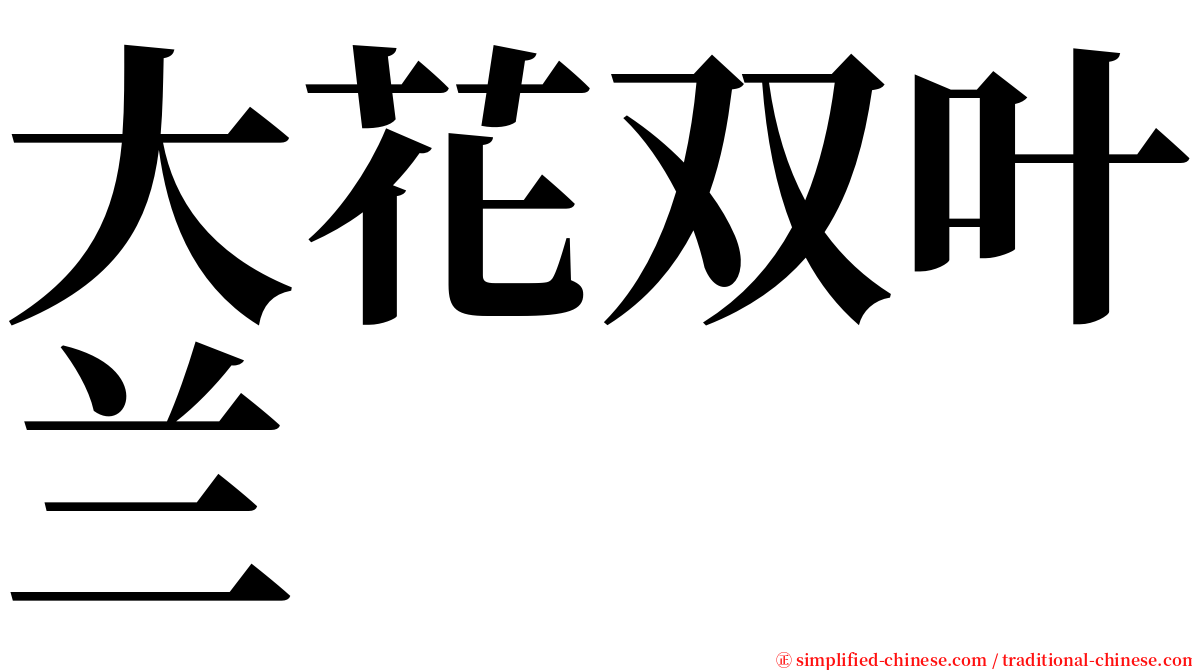 大花双叶兰 serif font