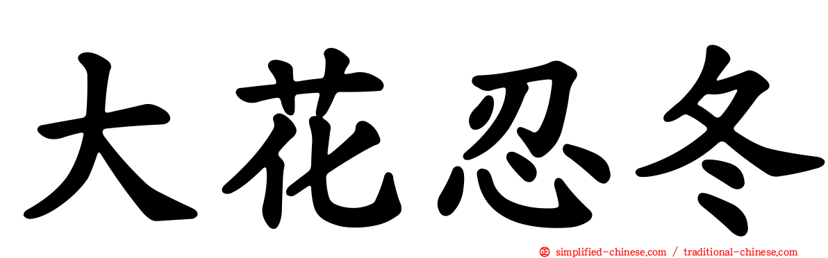 大花忍冬