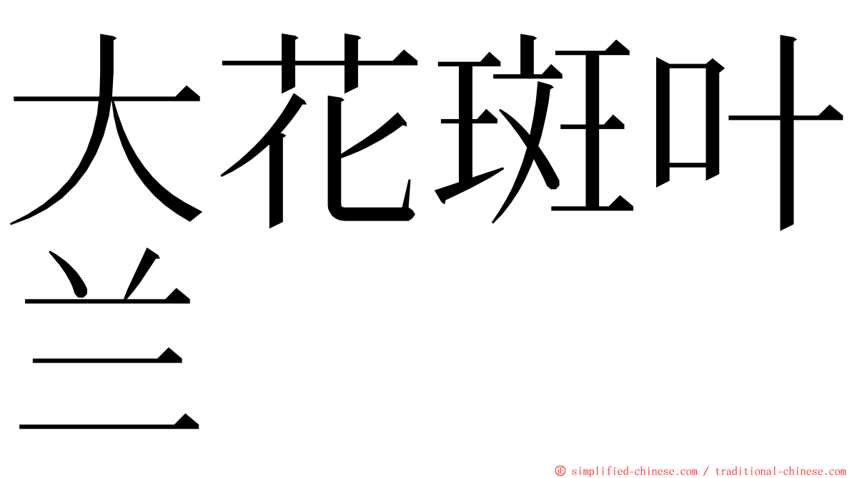 大花斑叶兰 ming font