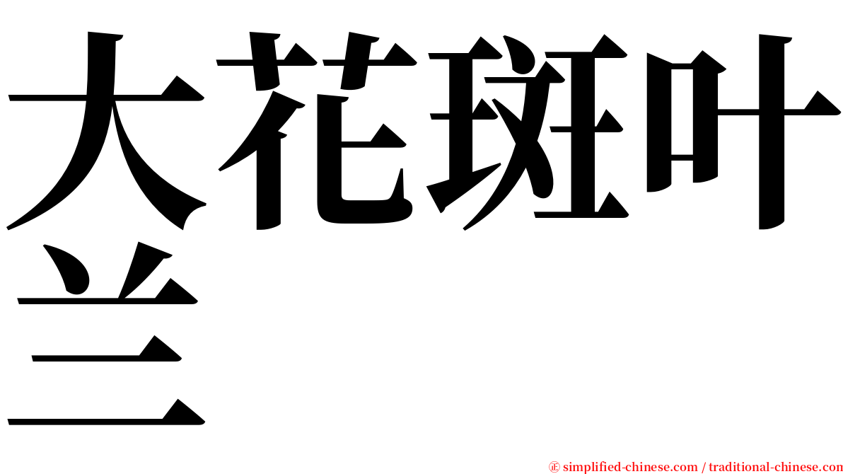 大花斑叶兰 serif font