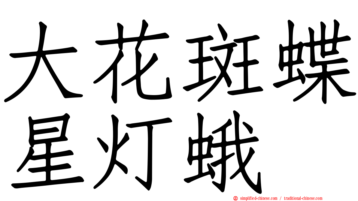 大花斑蝶星灯蛾