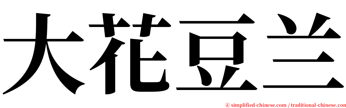 大花豆兰 serif font