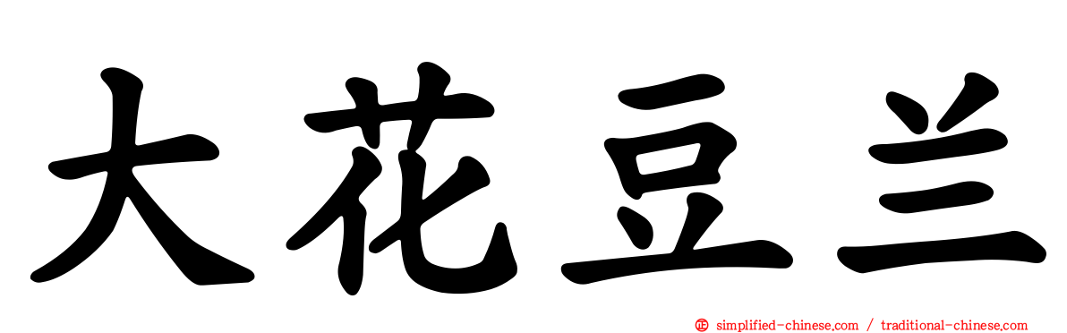 大花豆兰