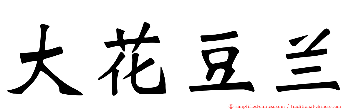 大花豆兰