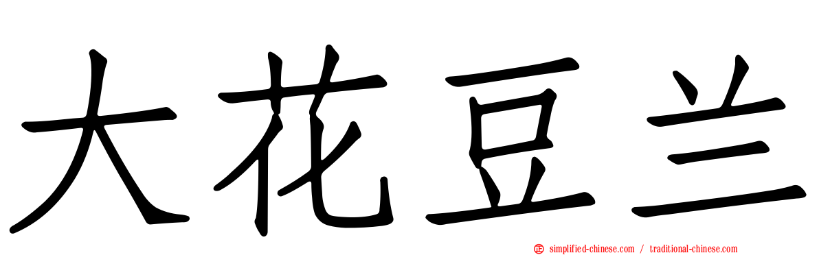 大花豆兰