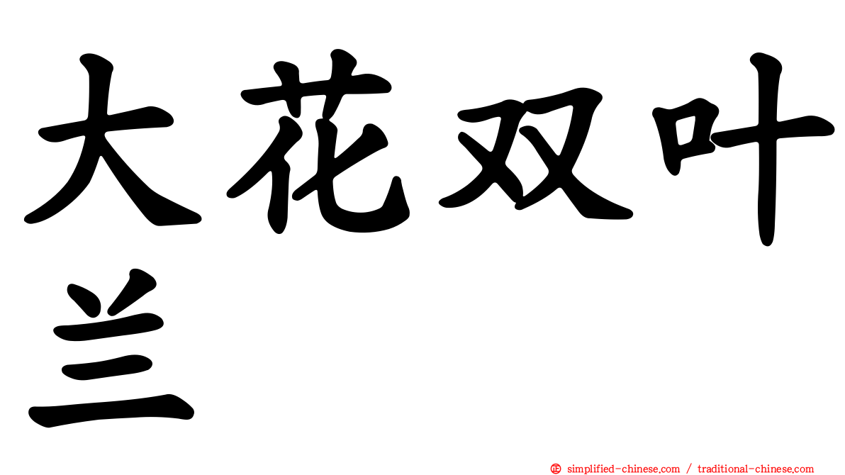 大花双叶兰