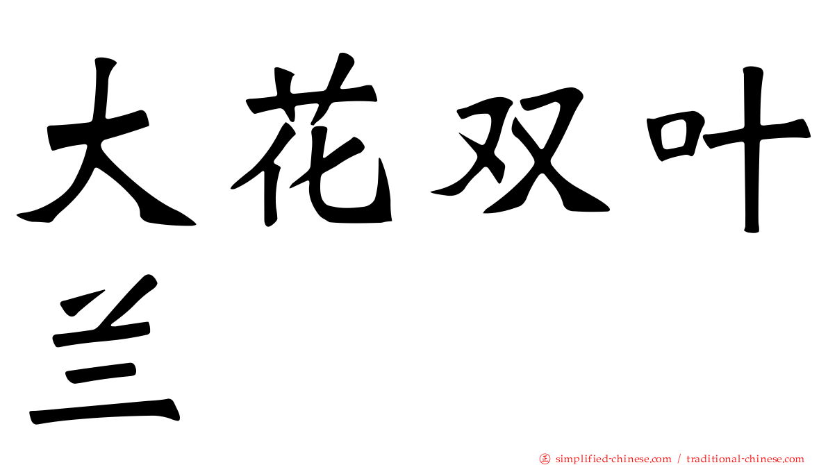 大花双叶兰