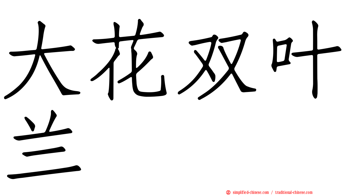 大花双叶兰