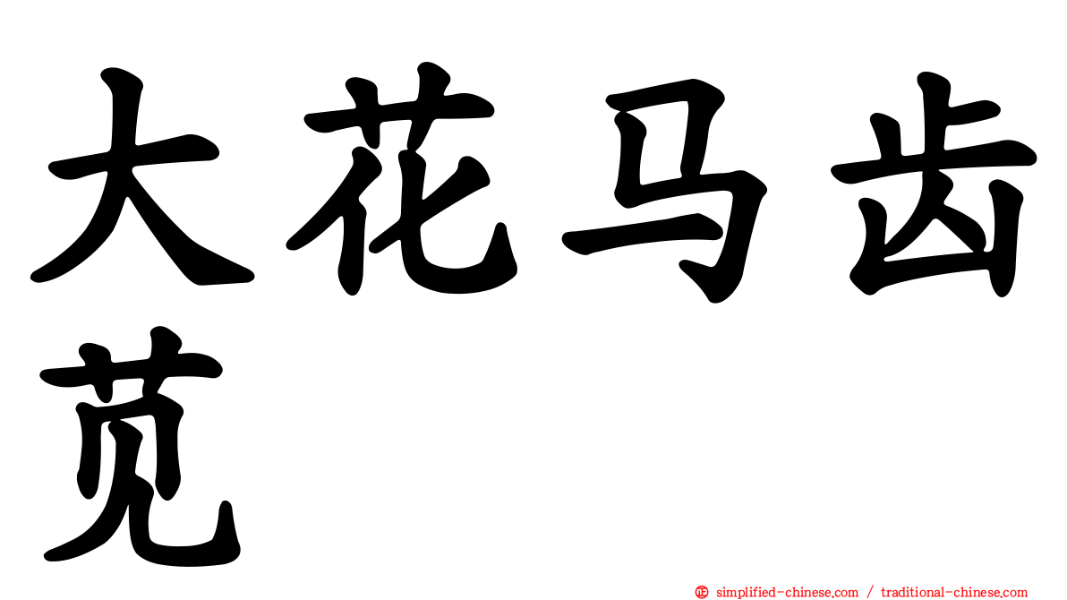 大花马齿苋