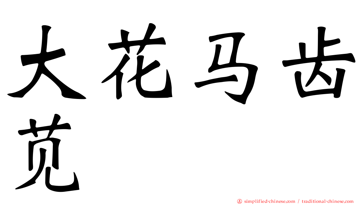 大花马齿苋